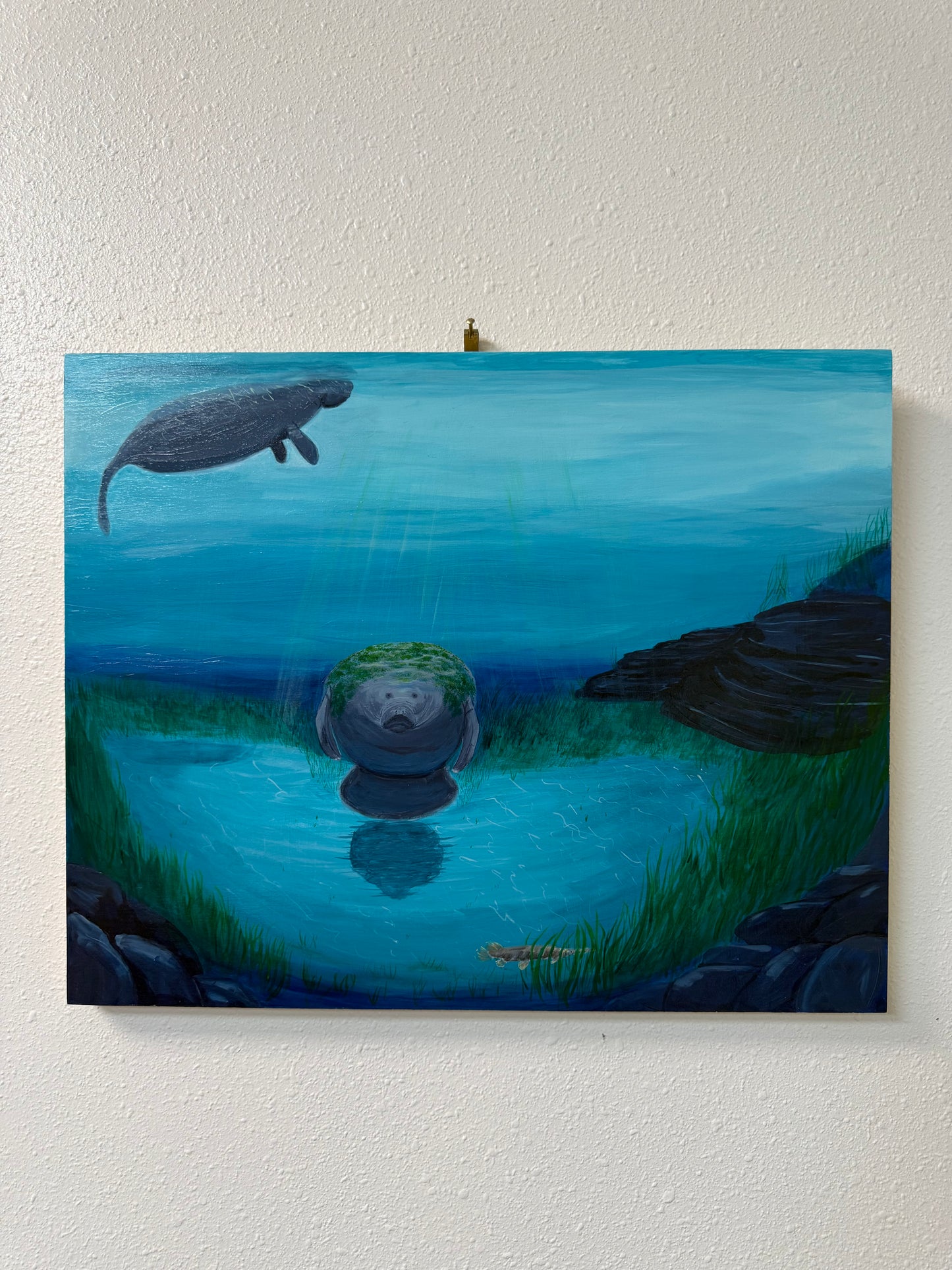 "Manatees in the springs" - Jennifer Lindquist