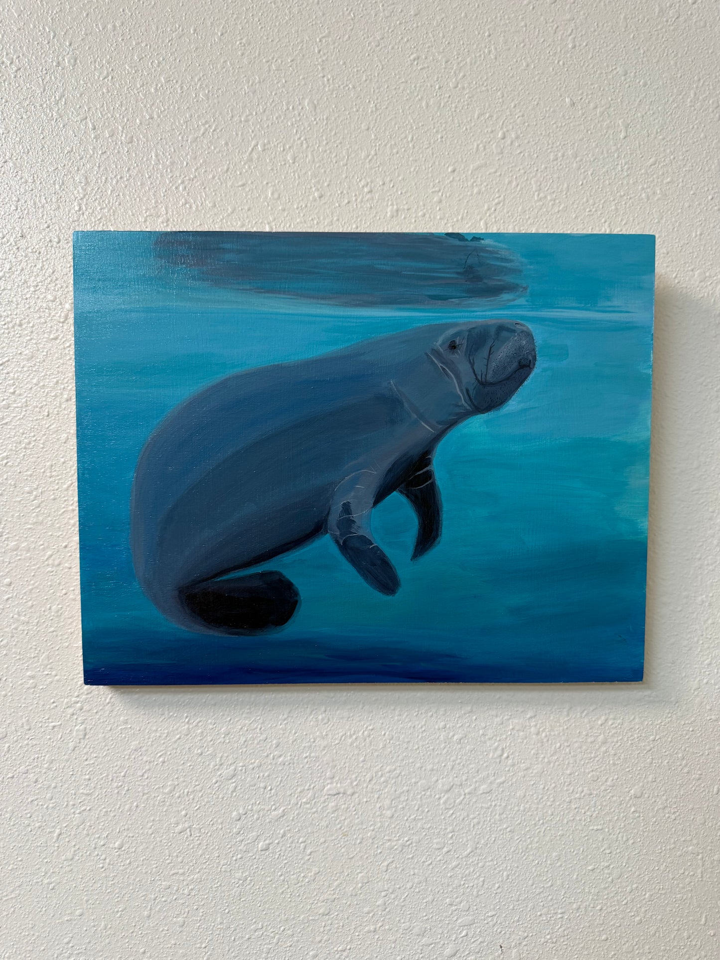 "Manatee and Reflection" - Jennifer Lindquist