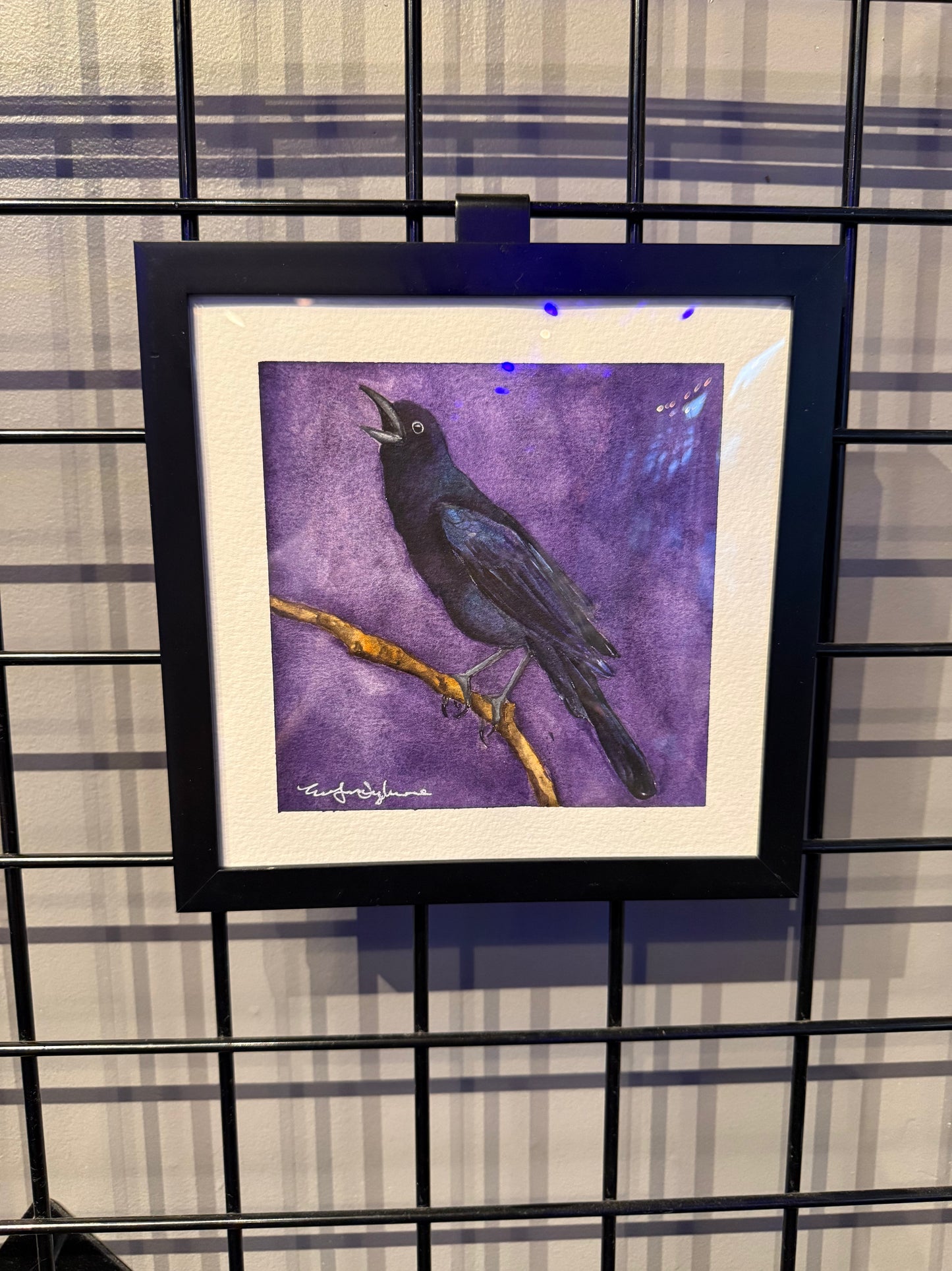 "Violet Grackle" - Evelynn Sylvanee
