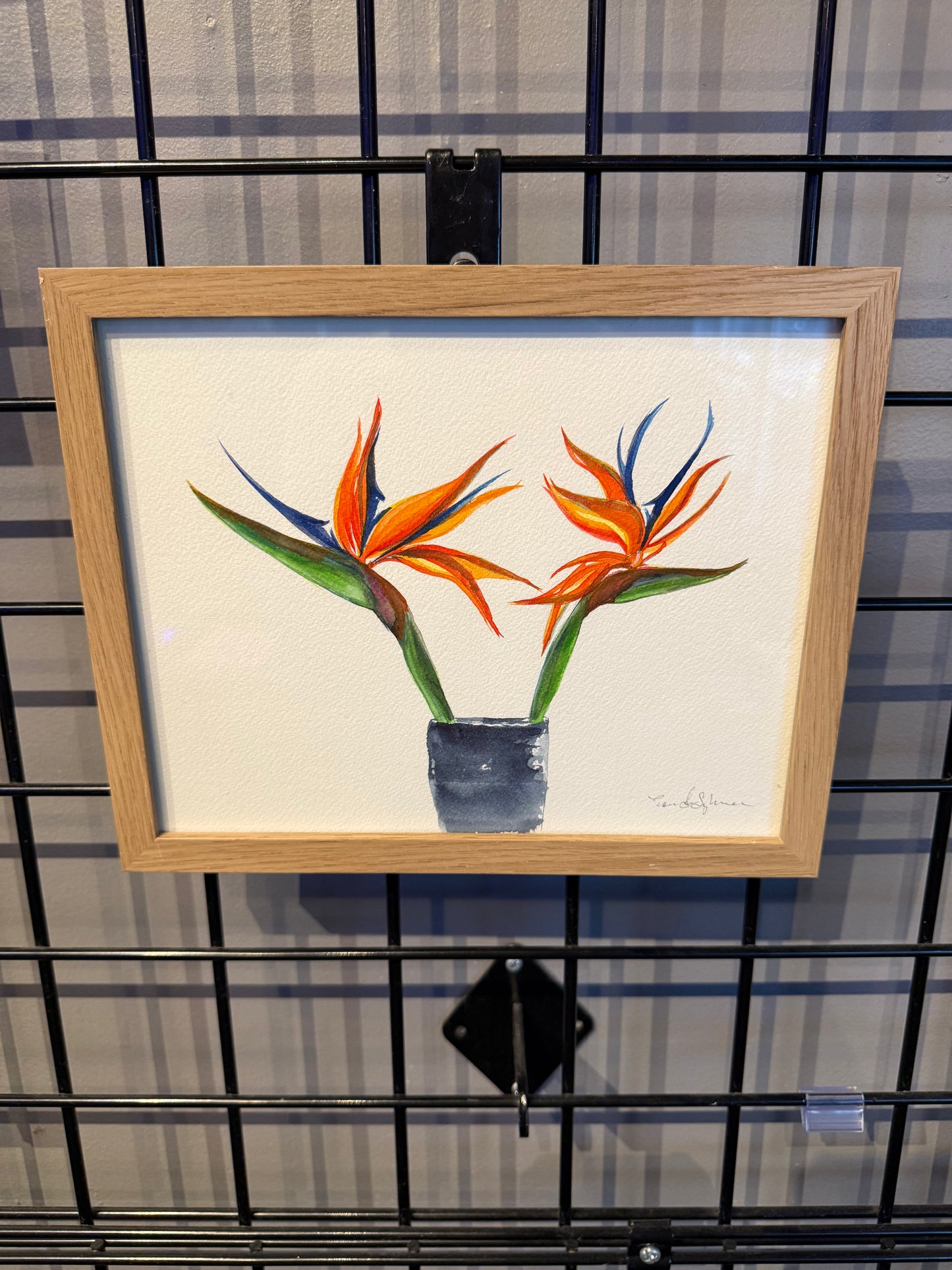 "Birds of Paradise" - Evelynn Sylvanee