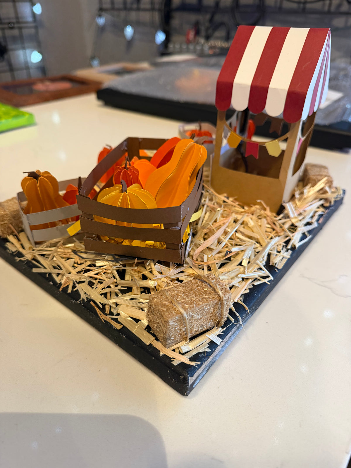 "Pumpkin Patch" - TT