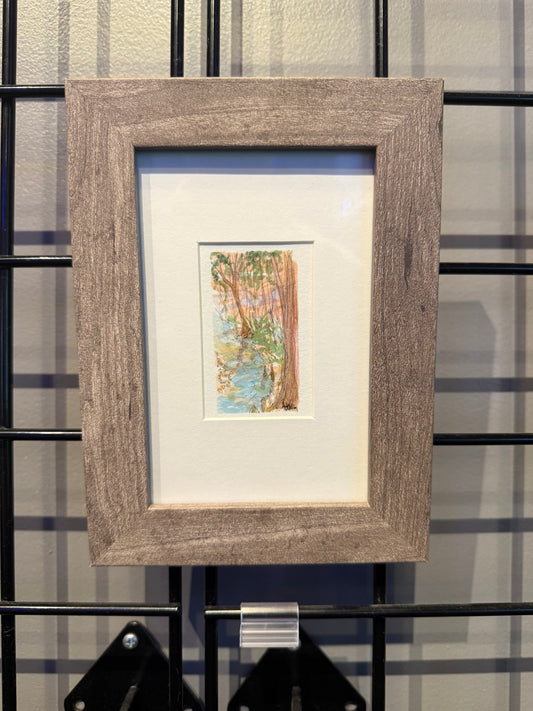 "Howell Creek, Mead Botanical Garden" - Andrew McMillen