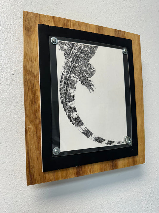 "El Caiman" - Middle Ei8ht Artistry