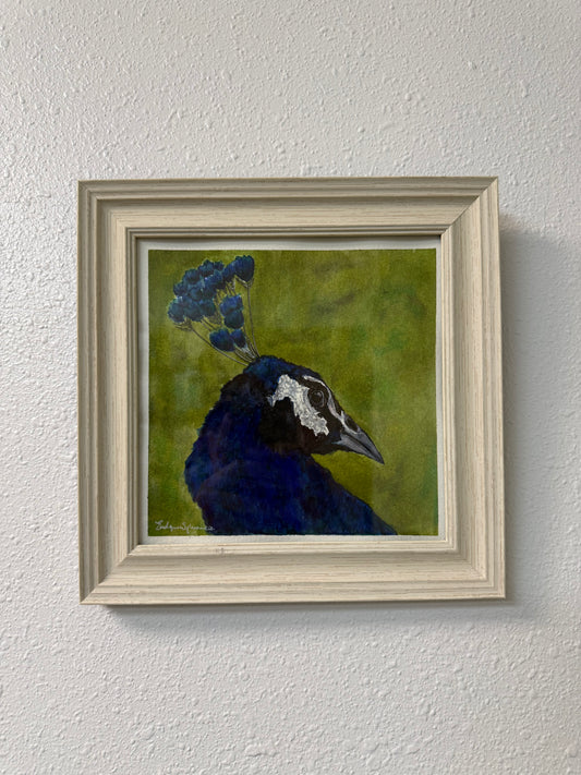 "Suspicious Peacock" - Evelynn Sylvanee