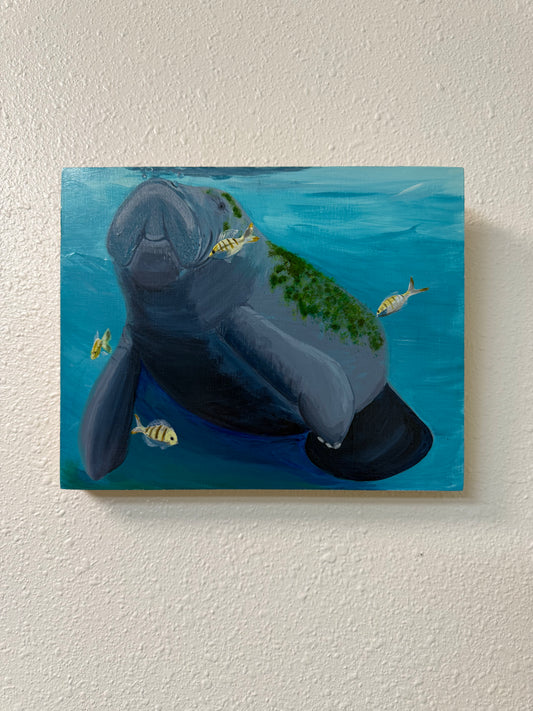 "Manatee with Fish" - Jennifer Lindquist