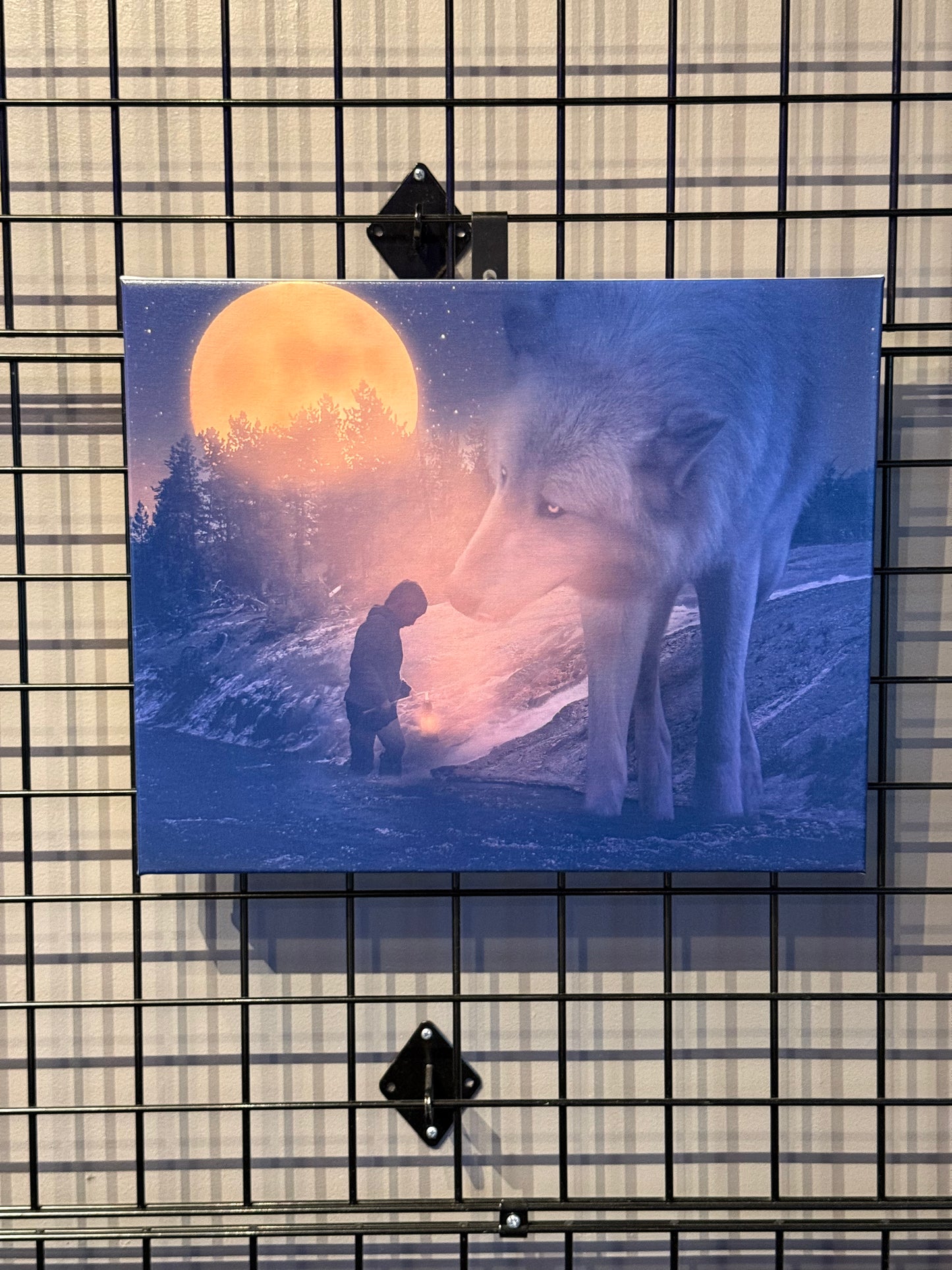"Skip & The Wolf" - Elie Wolf