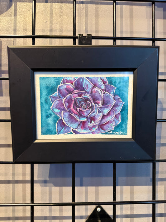 "Succulent Rose" - Evelynn Sylvanee