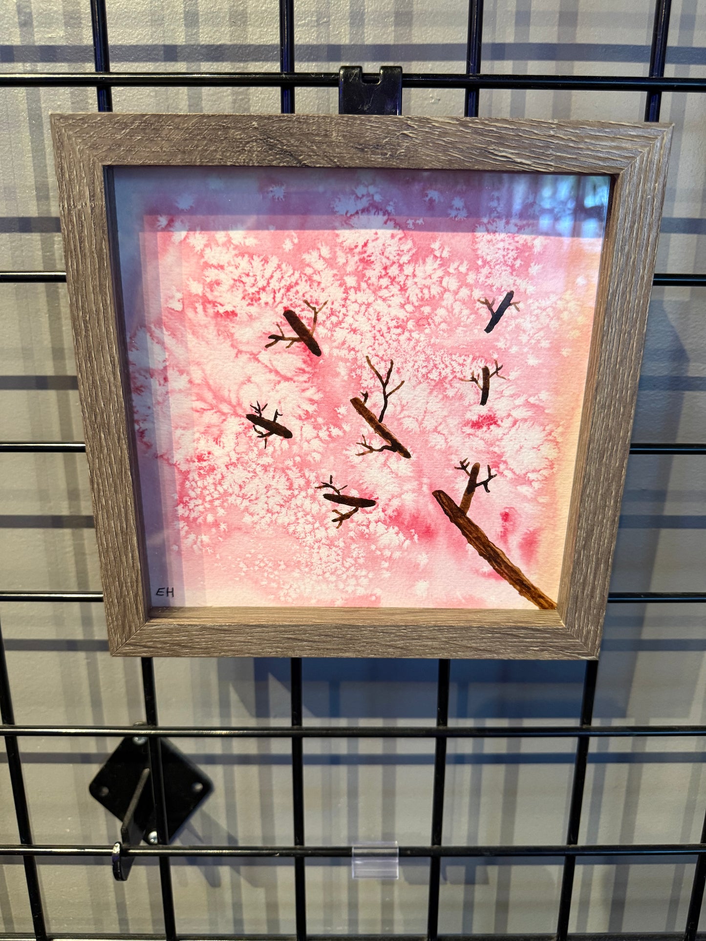 "Cherry Blossom" - Ellie Henrys