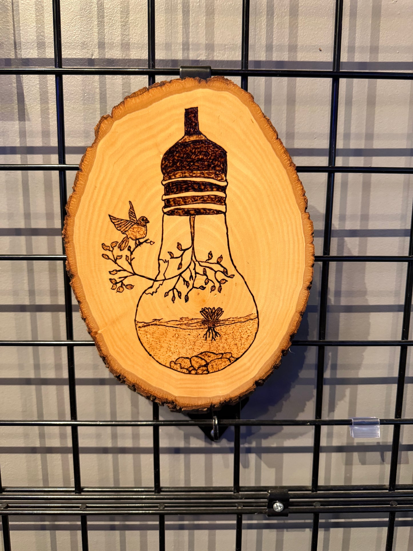 "Light Bulb Terrarium" - Hedy's Wood Wonders